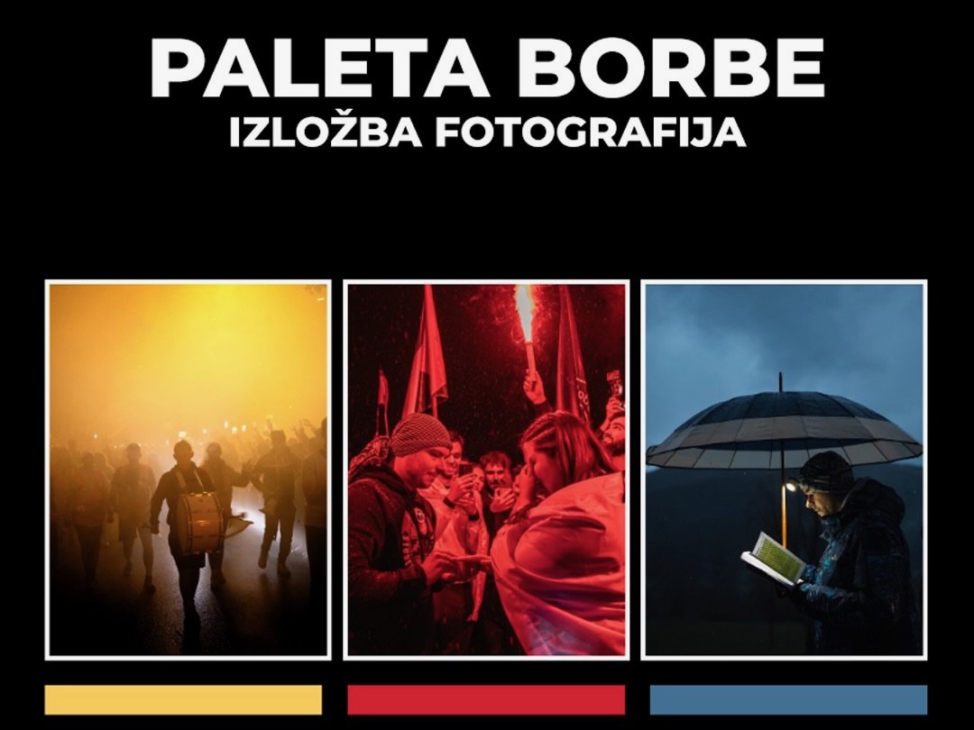 plakat za izložbu fotografija "Paleta borbe"